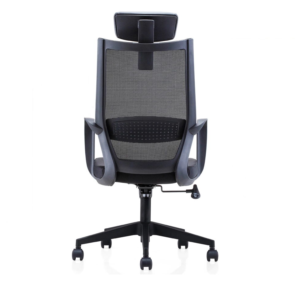 Ergonomic flexible back office chair with adjustable lumbar support and slide seat