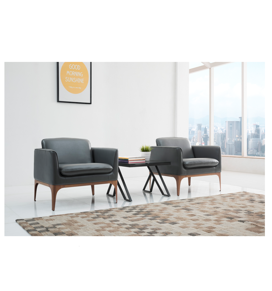 Small Design Wooden Legs Leather Sofa Set For Home And Office