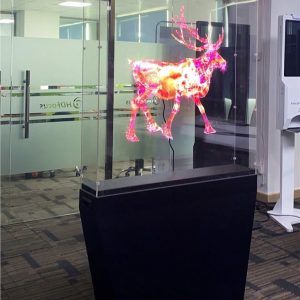 100cm Holographic Advertising Display Fan