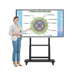 Smart Whiteboard Interactive Whiteboard Panel 65 Inch - Image 2